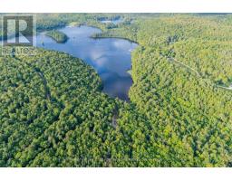 1382 Echo Ridge Road, Kearney, ON P0A1M0 Photo 20