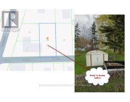 17 Goderich Street, Fort Erie, ON L2A3M3 Photo 49