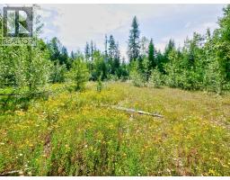13200 Eholt-jewel Lake Road, Greenwood, BC V0H1J0 Photo 13