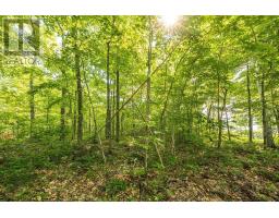 1089 Prince Lake Rd, Prince Township, ON P6A6K4 Photo 35