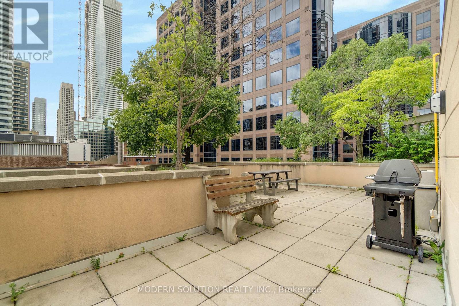 #201 99 HAYDEN STREET - 33