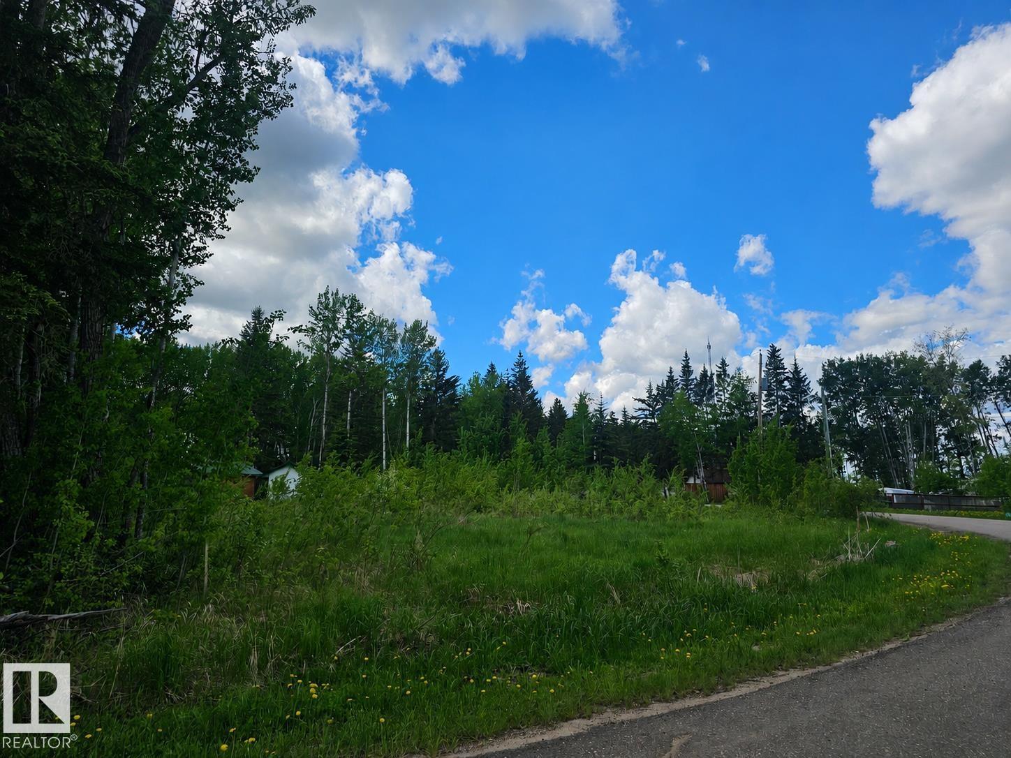201 15538 Old Trail