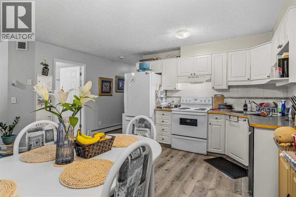 #8 504 Banff Avenue - 18