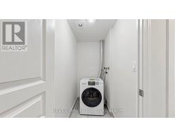 306 - 352 Front Street W, Toronto, ON M5V0K3 Photo 28