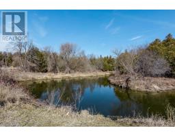 7468 25th Side Road, Adjala Tosorontio, ON L9R1V1 Photo 14