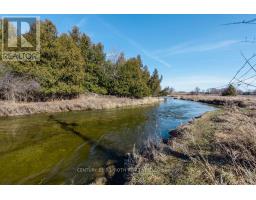 7468 25th Side Road, Adjala Tosorontio, ON L9R1V1 Photo 18