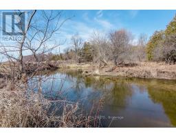 7468 25th Side Road, Adjala Tosorontio, ON L9R1V1 Photo 19