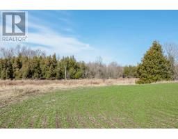 7468 25th Side Road, Adjala Tosorontio, ON L9R1V1 Photo 22