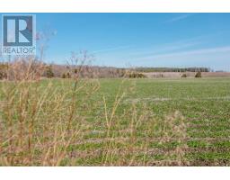 7468 25th Side Road, Adjala Tosorontio, ON L9R1V1 Photo 27