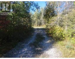 94 Mclay Drive, Assiginack, ON P0P1Z0 Photo 19