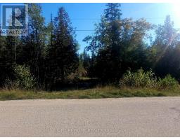 94 Mclay Drive, Assiginack, ON P0P1Z0 Photo 20