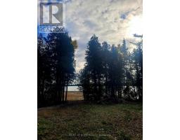 94 Mclay Drive, Assiginack, ON P0P1Z0 Photo 21