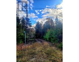 94 Mclay Drive, Assiginack, ON P0P1Z0 Photo 25