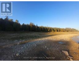 94 Mclay Drive, Assiginack, ON P0P1Z0 Photo 29