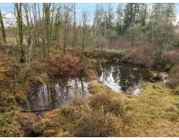 6271 272 Street, Langley, BC V4W1P6 Photo 38
