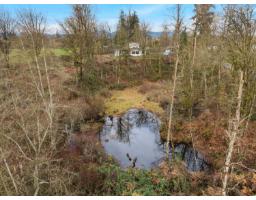 6271 272 Street, Langley, BC V4W1P6 Photo 39