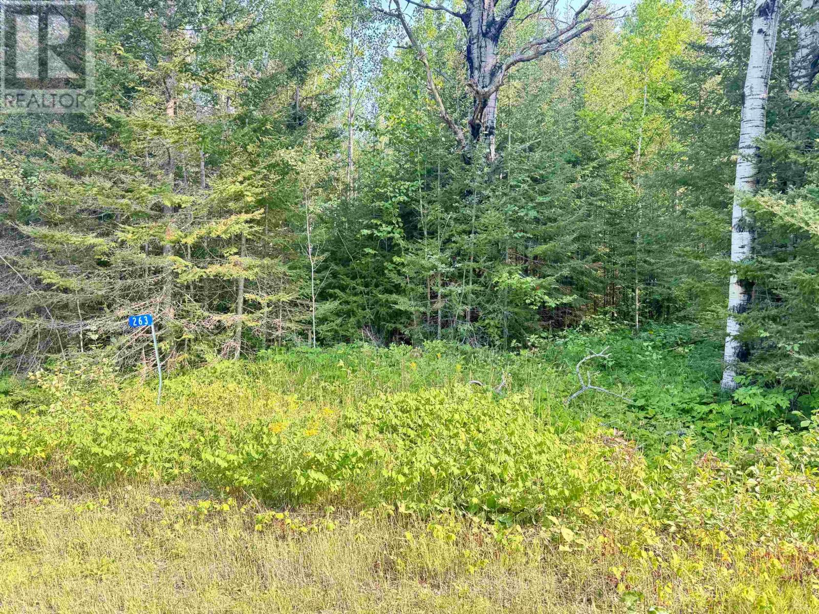 263 CLOUD RIVER RD