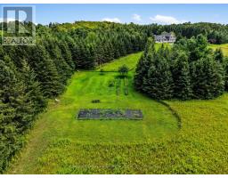 1154 Northumberland Hts Road, Alnwick/haldimand, ON K0K1C0 Photo 50