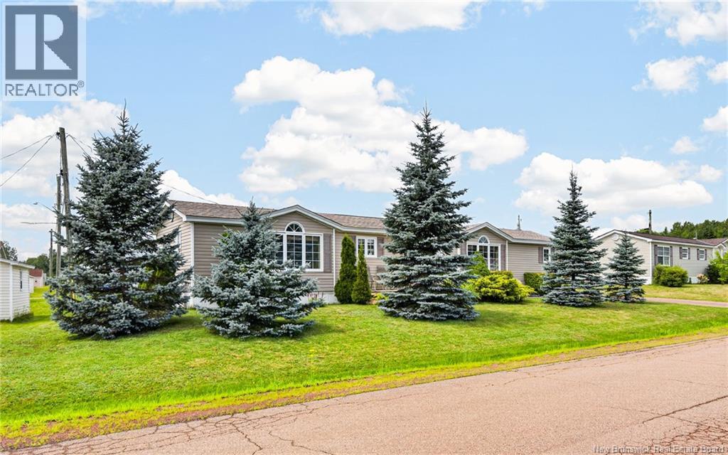 9 Blue Ash Street - 28