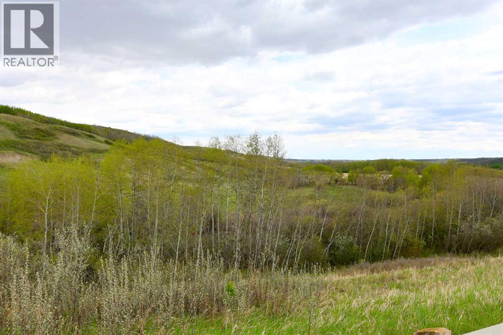 14123 Township Road 404 - Photo 49