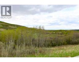 14123 Township Road 404, Rural Flagstaff County, AB T0B1N0 Photo 49