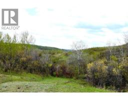 14123 Township Road 404, Rural Flagstaff County, AB T0B1N0 Photo 48