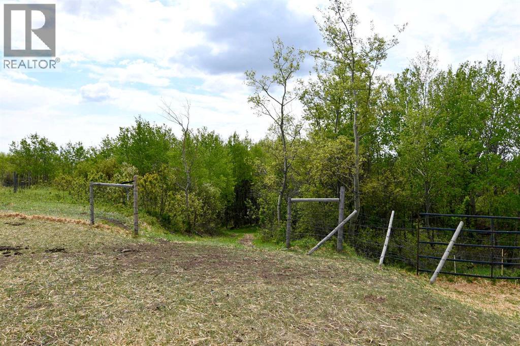 14123 Township Road 404 - Photo 45