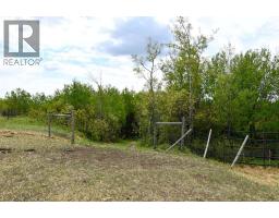 14123 Township Road 404, Rural Flagstaff County, AB T0B1N0 Photo 45