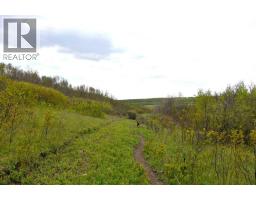 14123 Township Road 404, Rural Flagstaff County, AB T0B1N0 Photo 44