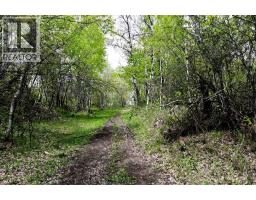 14123 Township Road 404, Rural Flagstaff County, AB T0B1N0 Photo 50