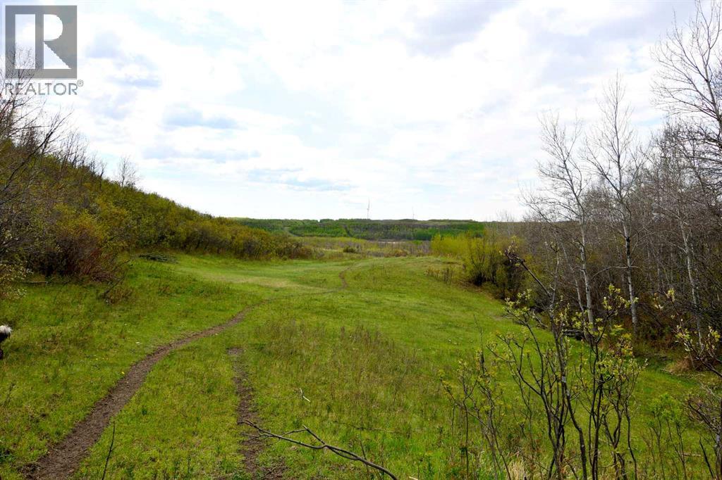 14123 Township Road 404 - Photo 9