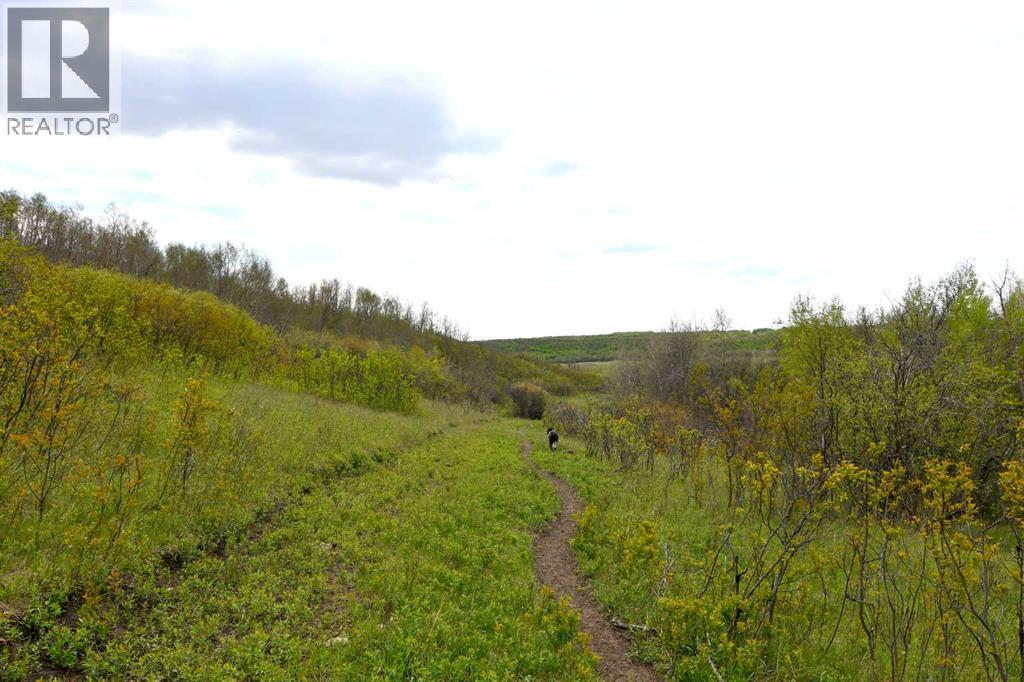 14123 Township Road 404 - Photo 48