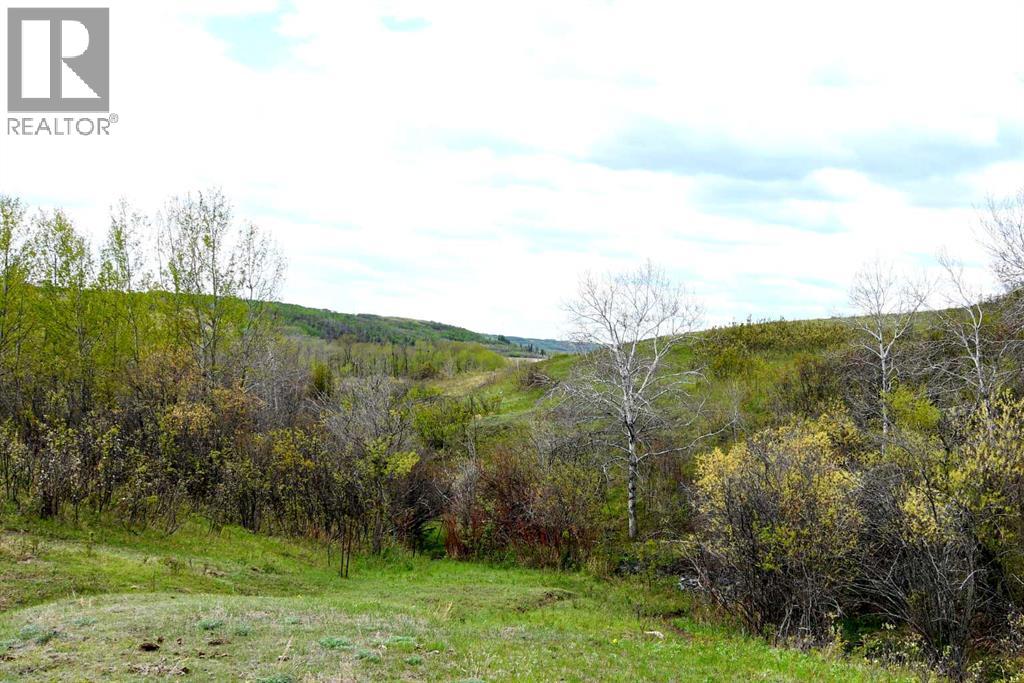 14123 Township Road 404 - Photo 46