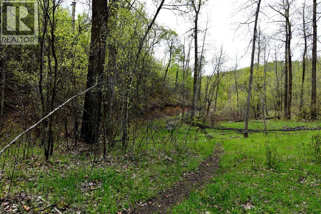14123 Township Road 404 - Photo 7