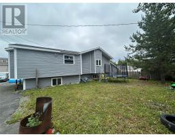 49A Earle Street thumbnail 4