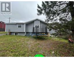 49A Earle Street thumbnail 5