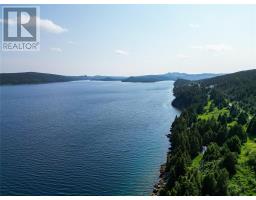 255 Corporal Jamie Murphy Drive thumbnail 29