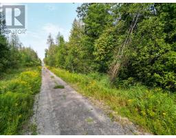 Lt 4 Dutch Line Road W, Trent Lakes, ON K0M2A0 Photo 6