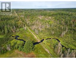Lt 4 Dutch Line Road W, Trent Lakes, ON K0M2A0 Photo 7