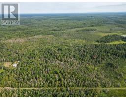 Lt 4 Dutch Line Road W, Trent Lakes, ON K0M2A0 Photo 8