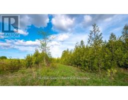 Lot 34 Dawson Road, Georgian Bluffs, ON N0H1S0 Photo 7