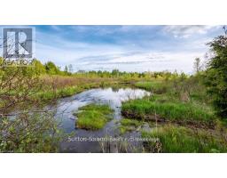 Lot 34 Dawson Road, Georgian Bluffs, ON N0H1S0 Photo 8