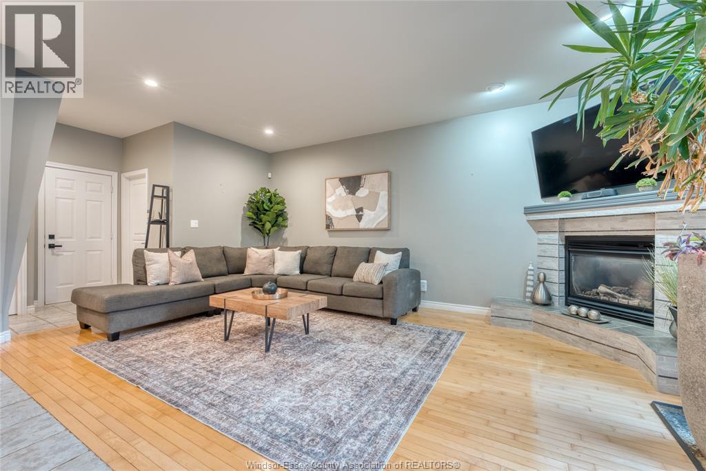 937 PAVAN - Image 11