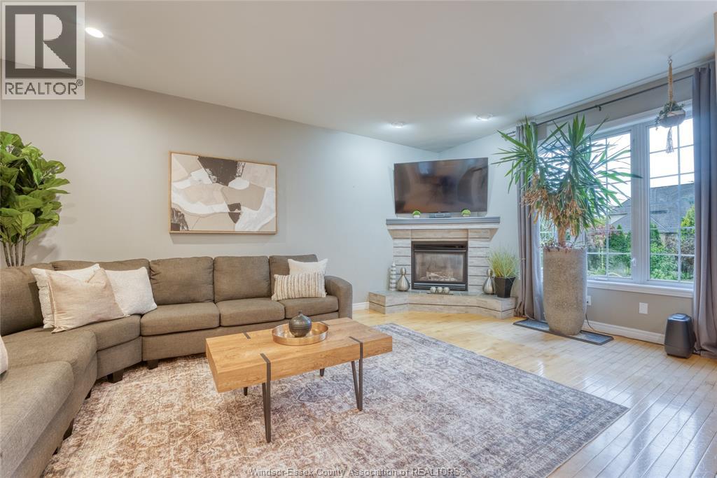 937 PAVAN - Image 12