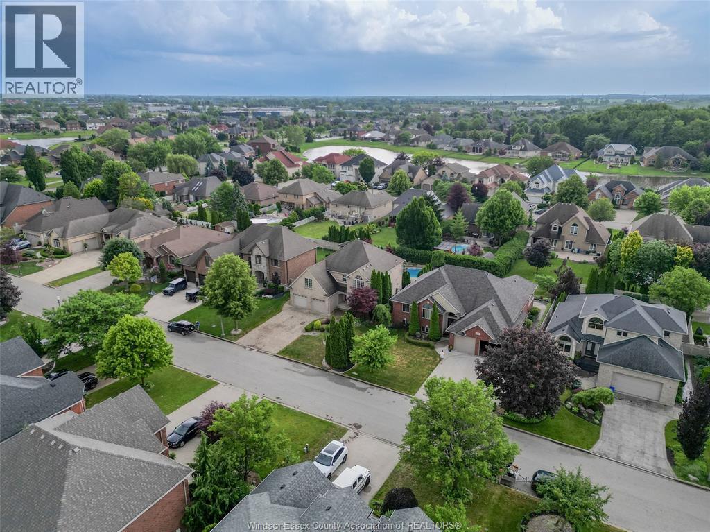 937 PAVAN - Image 6