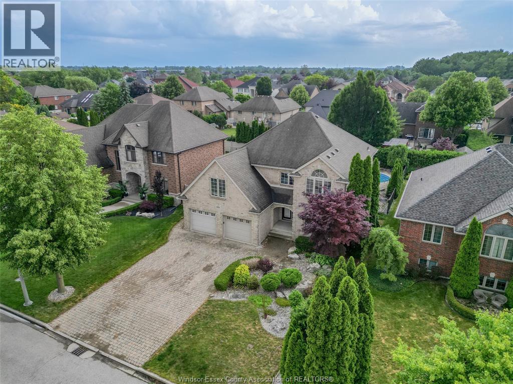 937 PAVAN - Image 7