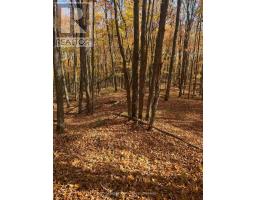 509 Road Road, Frontenac, ON K0H1J0 Photo 12
