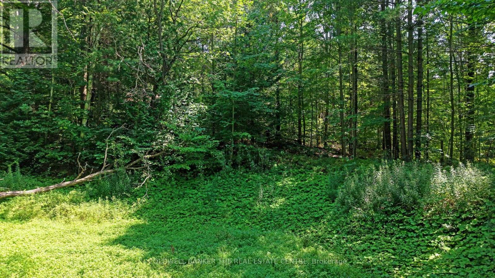 15600 WESTON ROAD - 17