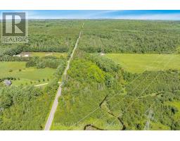 5609 Line 4 N, Oro Medonte, ON L0K1N0 Photo 15