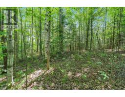 5609 Line 4 N, Oro Medonte, ON L0K1N0 Photo 8